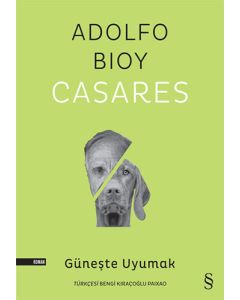 Güneşte Uyumak
