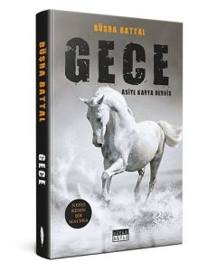 Gece-Asiye Karya Derviş