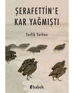 Şerafettin'e Kar Yağmıştı