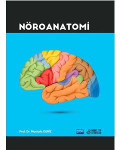 Nöroanatomi