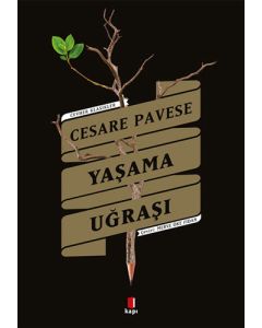 Yaşama Uğraşı
