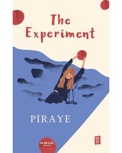 The Experiment 