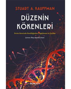 Düzenin Kökenleri
