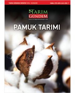 Pamuk Tarımı