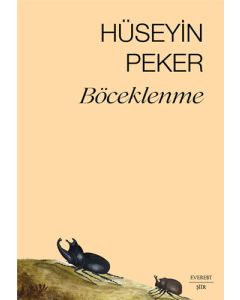 Böceklenme