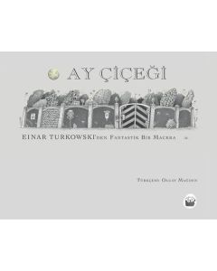 Ay Çiçeği