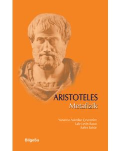 Metafizik