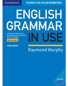 English Grammar In Use With Answers