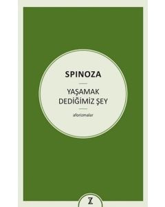 Yaşamak Dediğimiz Şey