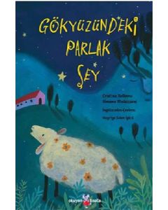 Gökyüzündeki Parlak Şey