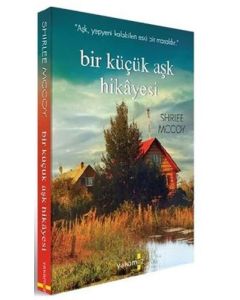 Bir Küçük Aşk Hikayesi