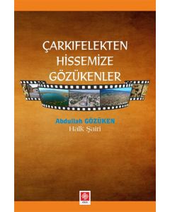 Çarkıfelekten Hissemize Gözükenler