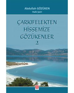 Çarkıfelekten Hissemize Gözükenler 2