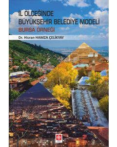 İl Ölçeğinde Büyükşehir Belediye Modeli: Bursa Örneği