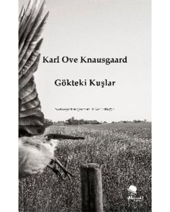 Gökteki Kuşlar