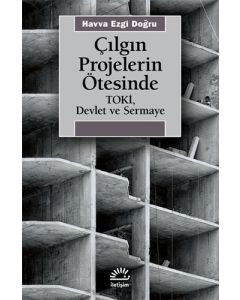 Çılgın Projelerin Ötesinde
