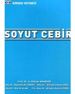 Soyut Cebir 