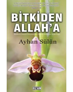 Bitkiden Allah'a