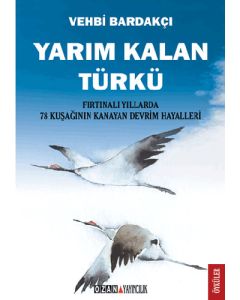 Yarım Kalan Türkü