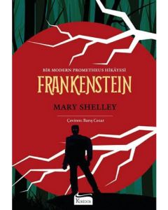 Frankenstein (Bez Ciltli)