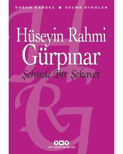 Şehirde Bir Şekavet - Seçme Öyküler