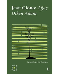Everest Açıkhava 17 - Ağaç Diken Adam    