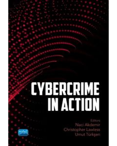 Cybercrime In Action