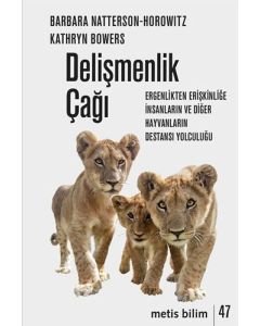Delişmenlik Çağı
