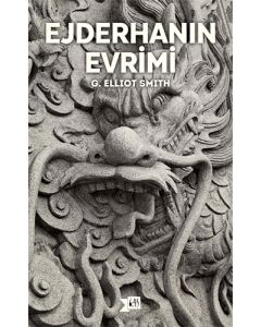 Ejderhanın Evrimi