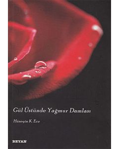 Gül Üstünde Yağmur Damlası