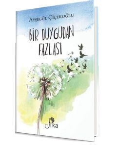 Bir Duygudan Fazlası
