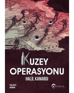 Kuzey Operasyonu