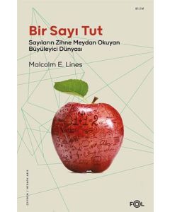 Bir Sayı Tut