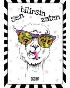 Çılgın Defterler