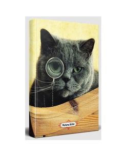 Planlama Defteri - Dedektif Kedi