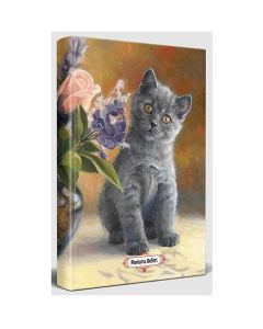 Planlama Defteri - Masum Kedi