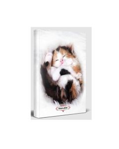 Planlama Defteri - Uykucu Kedi