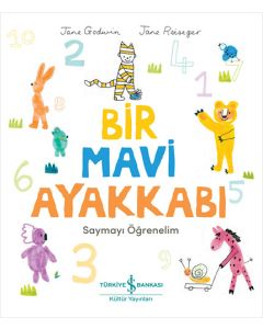 Bir Mavi Ayakkabı