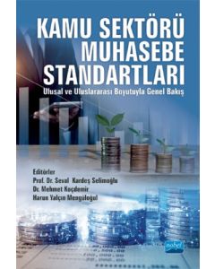 Kamu Sektörü Muhasebe Standartları