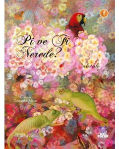 Pi ve Fi Nerede?