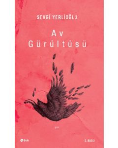 Av Gürültüsü