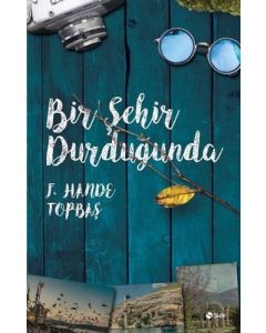 Bir Şehir Durduğunda