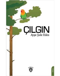 Çılgın