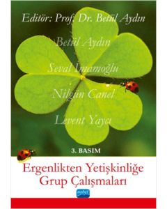 Ergenlikten Yetişkinliğe Grup Çalışmaları