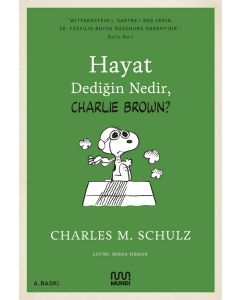Hayat Dediğin Nedir, Charlie Brown?