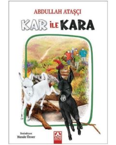 Kar ile Kara