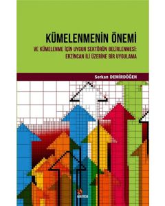 Kümelenmenin Önemi ve Kümelenme İçin Uygun Sektörün Belirlenmesi: Erzincan İli Üzerine Bir Uygulama