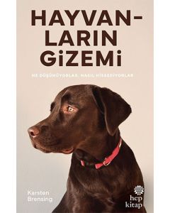 Hayvanların Gizemi