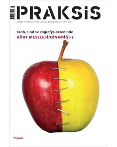 Praksis Sayı : 29 - Tarih, Sınıf ve Coğrafya Ekseninde Kürt Meselesi/Dinamiği 2