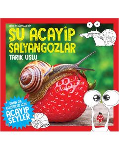 Daha da Küçükler İçin Şu Acayip Salyangozlar
